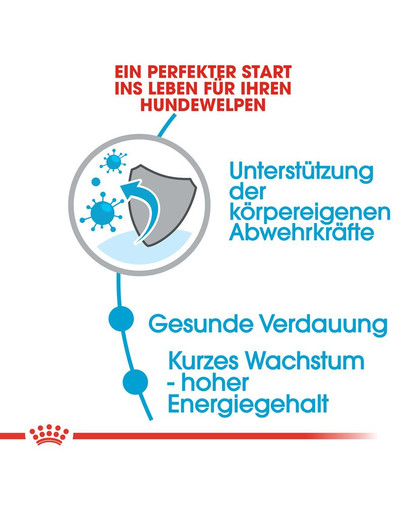 ROYAL CANIN Medium junior 1 kg