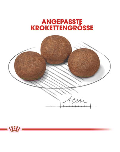 ROYAL CANIN Medium junior 1 kg