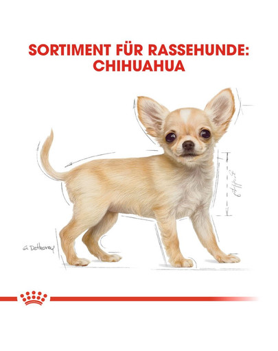 ROYAL CANIN Chihuahua junior 1.5 kg