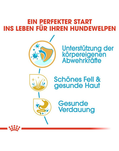 ROYAL CANIN Shih Tzu junior 1.5 kg