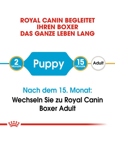 ROYAL CANIN Boxer 30 junior 12 kg