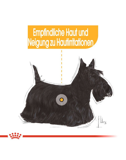 ROYAL CANIN Mini dermacomfort 1 kg