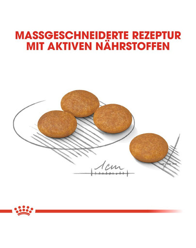 ROYAL CANIN Mini dermacomfort 1 kg