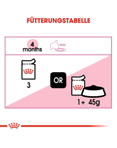 ROYAL CANIN Kitten Patè 12x85g