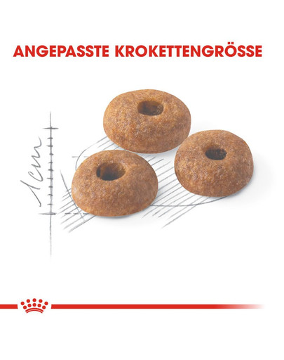 ROYAL CANIN Fit 32 2 kg