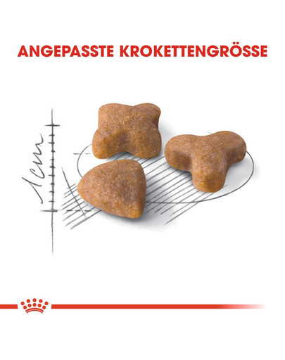 ROYAL CANIN Sensible 33 2 kg