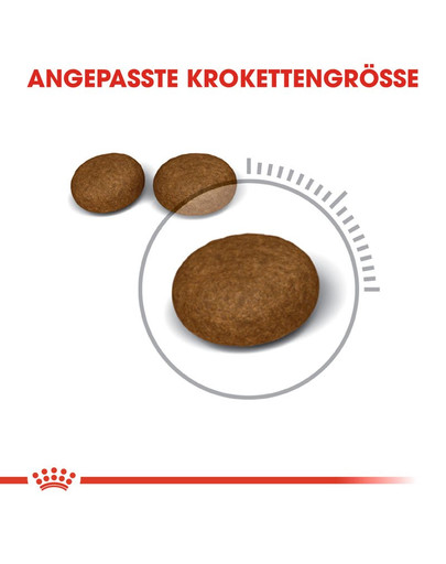 ROYAL CANIN Hair & Skin 2 kg