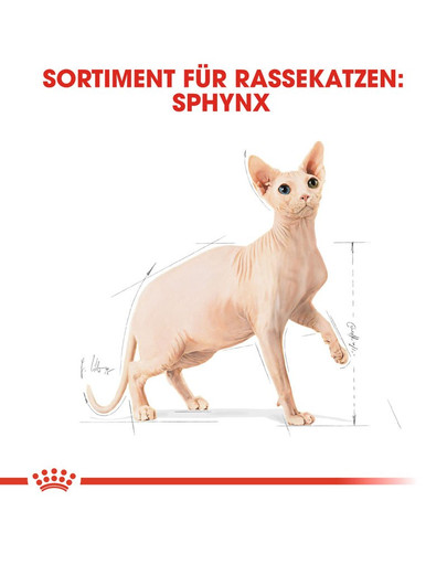 ROYAL CANIN Sphynx Adult 10 kg