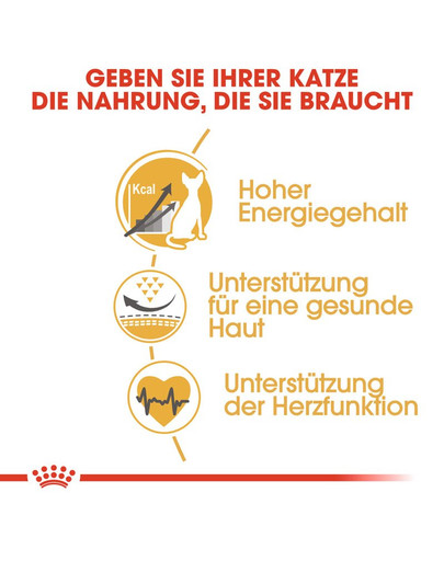 ROYAL CANIN Sphynx Adult 10 kg