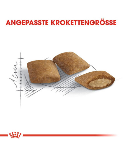 ROYAL CANIN Ageing +12 2kg