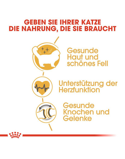 ROYAL CANIN Ragdoll Adult 10 kg