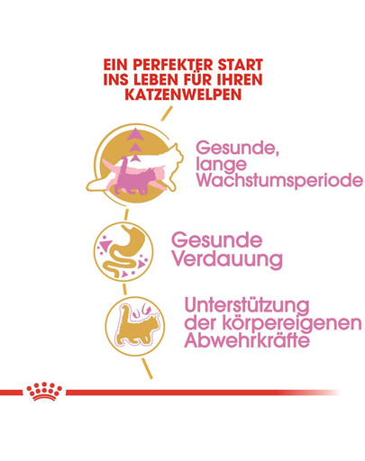 ROYAL CANIN Kitten Maine Coon 2 kg