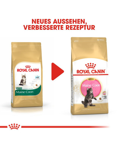 ROYAL CANIN Kitten Maine Coon 2 kg