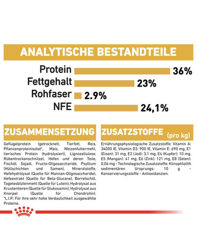 ROYAL CANIN Kitten Maine Coon 2 kg