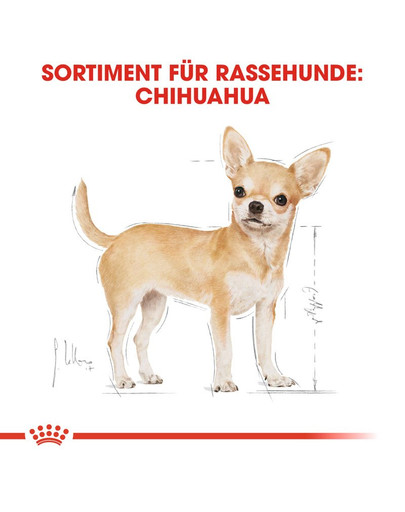 ROYAL CANIN Chihuahua Adult 12x85g