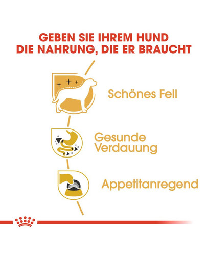 ROYAL CANIN Chihuahua Adult 12x85g