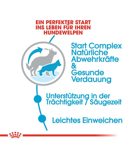 ROYAL CANIN Maxi starter mother & babydog 15 kg
