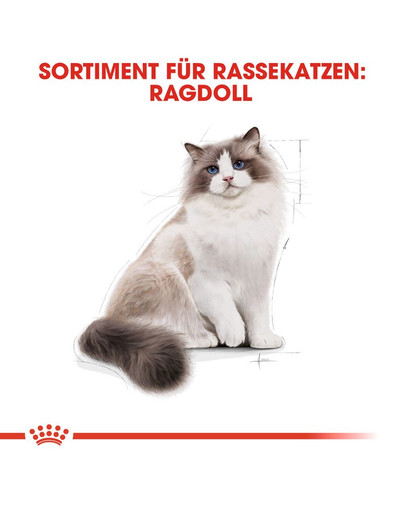 ROYAL CANIN Ragdoll adult 0.4 kg