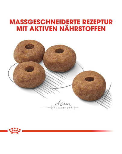 ROYAL CANIN Medium sterilised 3 kg