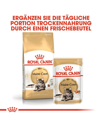 ROYAL CANIN Maine Coon Adult 85g