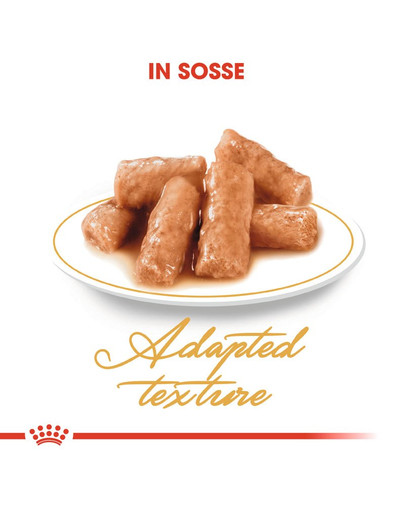 ROYAL CANIN British Shorthair 85 g bustina 12 x 85 g