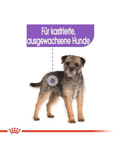 ROYAL CANIN Sterilised 12 x 85 g