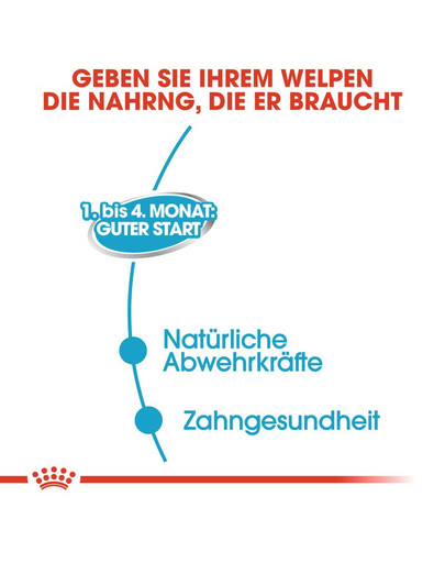 ROYAL CANIN Starter mousse 195 g