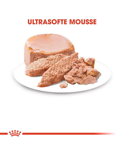 ROYAL CANIN Starter mousse 195 g