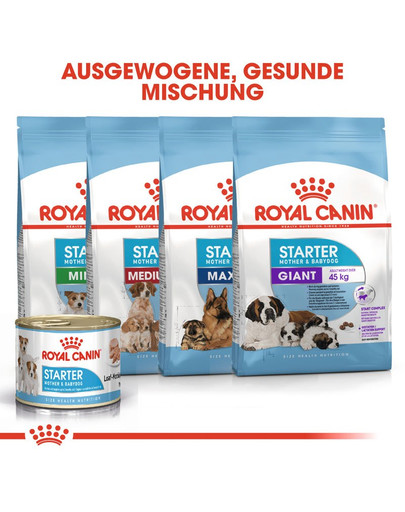ROYAL CANIN Starter mousse 195 g