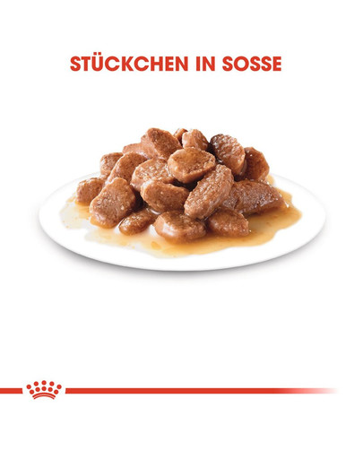 ROYAL CANIN ULTRA LIGHT 85 g bouchées en sauce x 12