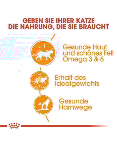 ROYAL CANIN Intense BEAUTY in salsa 85 g x 12