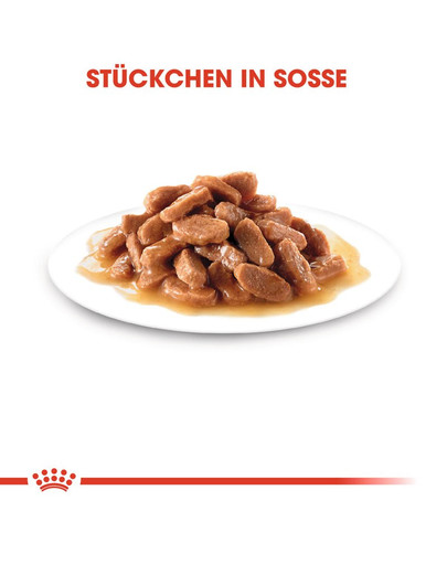 ROYAL CANIN Kitten Bocconcini in salsa 85 g x 12