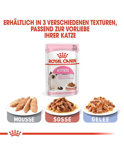 ROYAL CANIN Kitten Bocconcini in salsa 85 g x 12