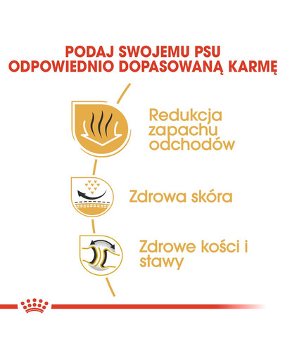 ROYAL CANIN Bulldog Adult karma sucha dla psów dorosłych rasy bulldog 3 kg