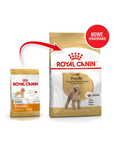 ROYAL CANIN Poodle adult 0.5 kg karma sucha dla psów dorosłych rasy pudel miniaturowy