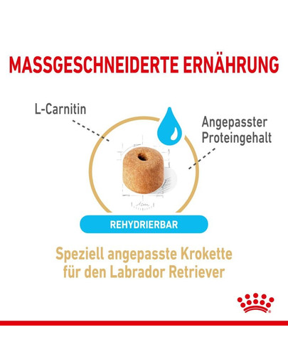 ROYAL CANIN Labrador Retriever Adult 5+ 12 kg