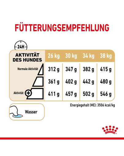 ROYAL CANIN Labrador Retriever Adult 5+ 12 kg