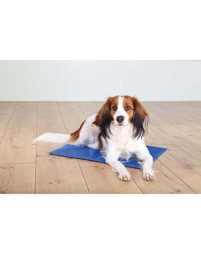 TRIXIE Matelas rafraîchissant 100 x 60 cm bleu
