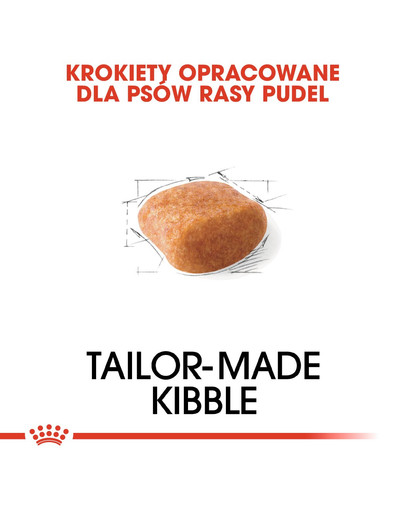 ROYAL CANIN Poodle adult 0.5 kg karma sucha dla psów dorosłych rasy pudel miniaturowy
