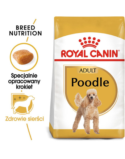ROYAL CANIN Poodle adult 0.5 kg karma sucha dla psów dorosłych rasy pudel miniaturowy