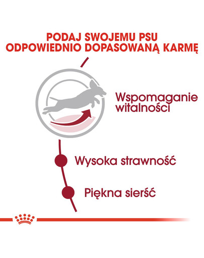 ROYAL CANIN Medium adult 7+ 10 kg sucha karma dla psów powyżej 7 roku życia, ras średnich