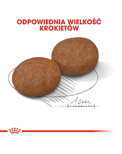 ROYAL CANIN Medium adult 7+ 10 kg sucha karma dla psów powyżej 7 roku życia, ras średnich