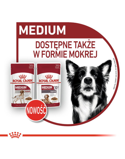 ROYAL CANIN Medium adult 7+ 10 kg sucha karma dla psów powyżej 7 roku życia, ras średnich