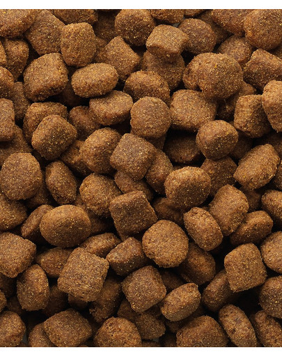 VERSELE-LAGA Classic Lamb & Rice 20kg