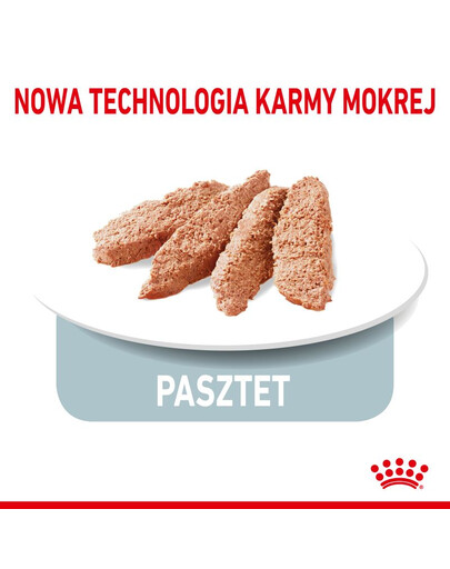 ROYAL CANIN Indoor sterilised paté 12x85 g