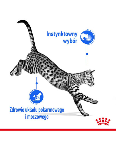 ROYAL CANIN Indoor sterilised paté 12x85 g
