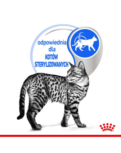 ROYAL CANIN Indoor sterilised paté 12x85 g