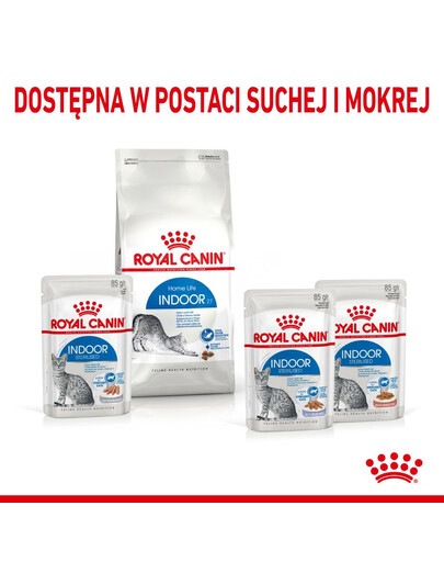 ROYAL CANIN Indoor sterilised paté 12x85 g