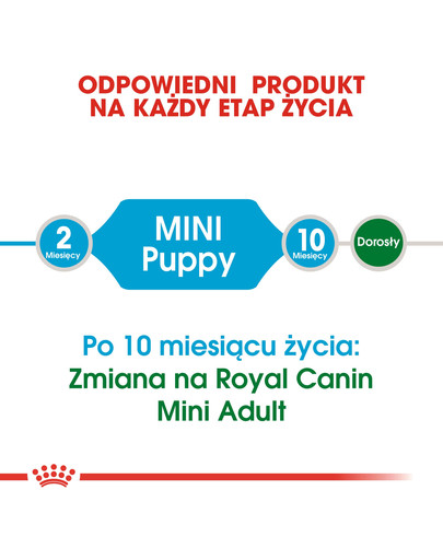 ROYAL CANIN Mini Puppy / Junior Aliments secs pour chiots de 2 à 10 mois, petites races 8 kg + Mini puppy 12x85 g