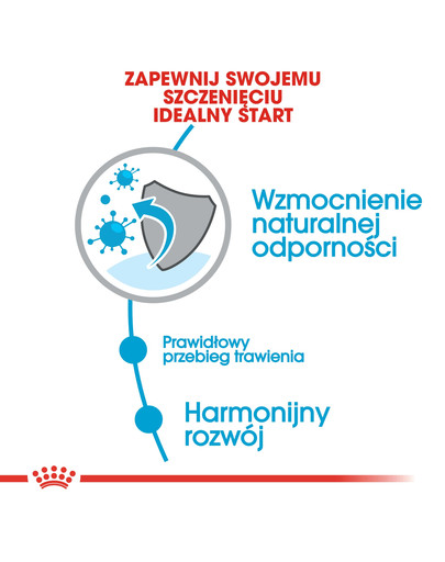 ROYAL CANIN Mini Puppy / Junior Aliments secs pour chiots de 2 à 10 mois, petites races 8 kg + Mini puppy 12x85 g